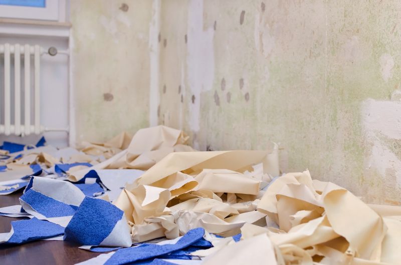Wallpaper Stripping in Denver County, CO
